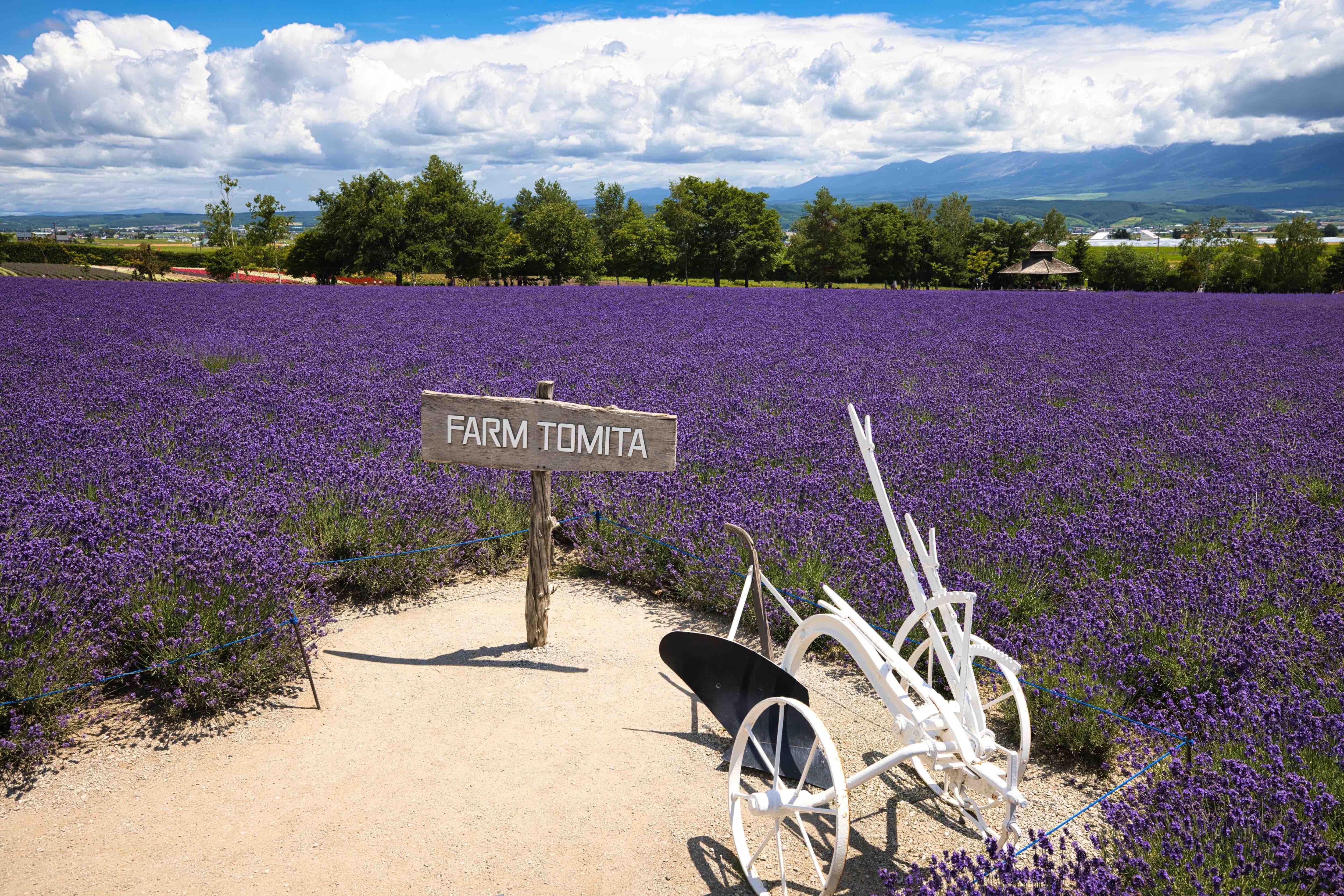 Road trip fraicheur au Japon en ete 2026 : itineraires en voiture vers les regions plus temperees