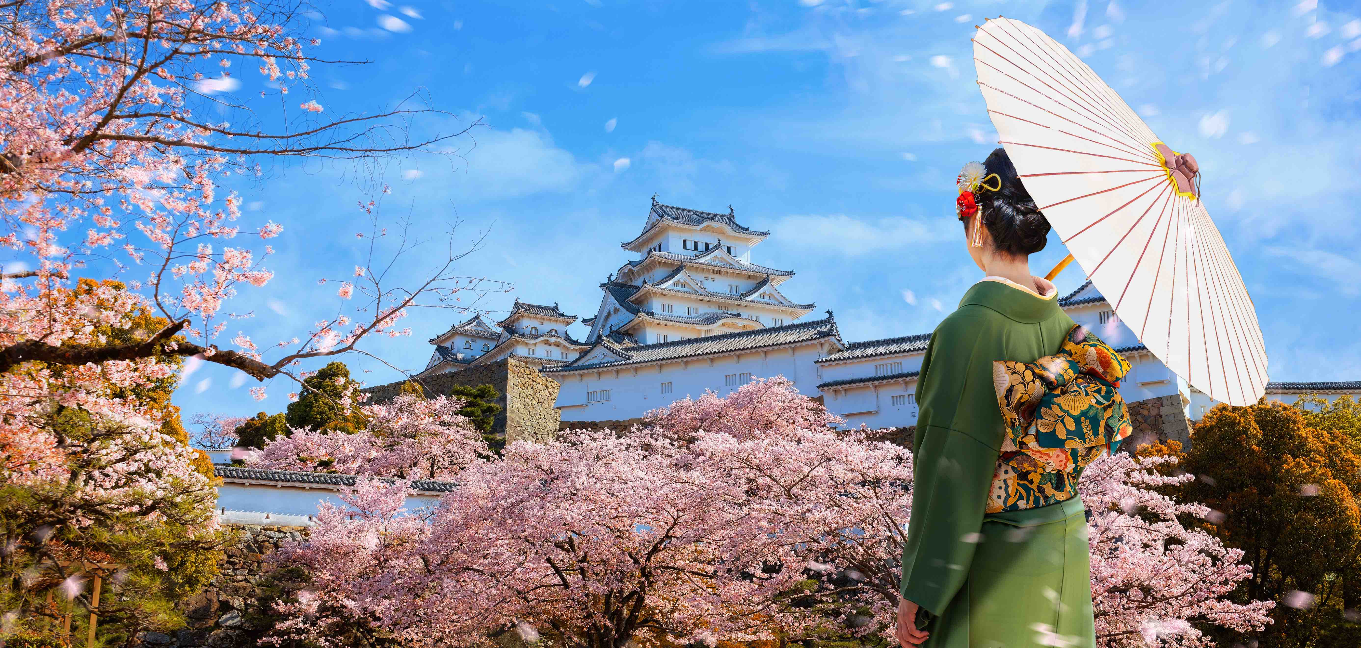 Visiter Himeji au Japon : Château UNESCO, Jardins Koko-en & Mont Shosha | Guide Complet 2026

