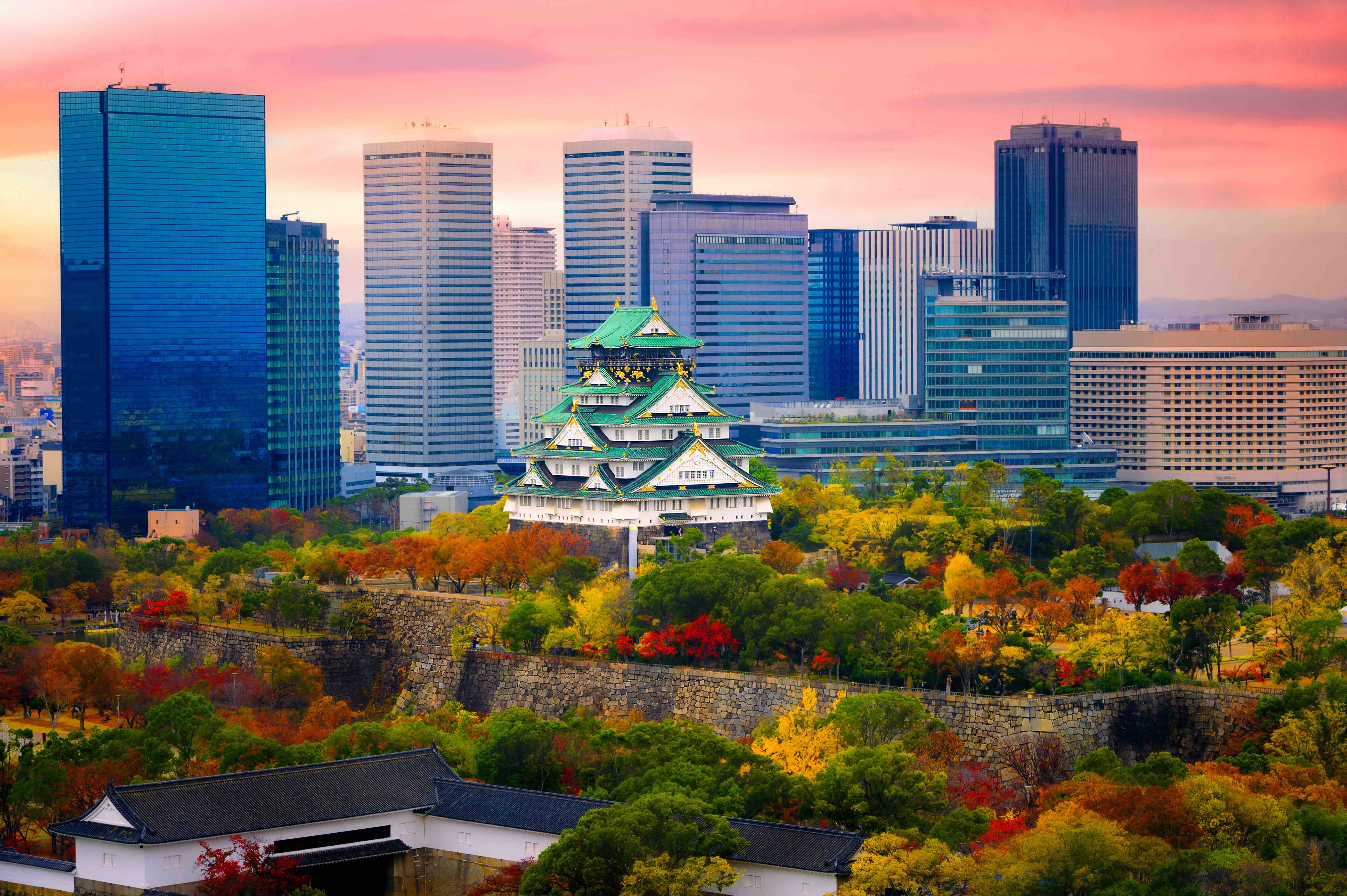 Premier Voyage Tokyo 2026 Guide Complet 10 Lieux Iconiques Voir 