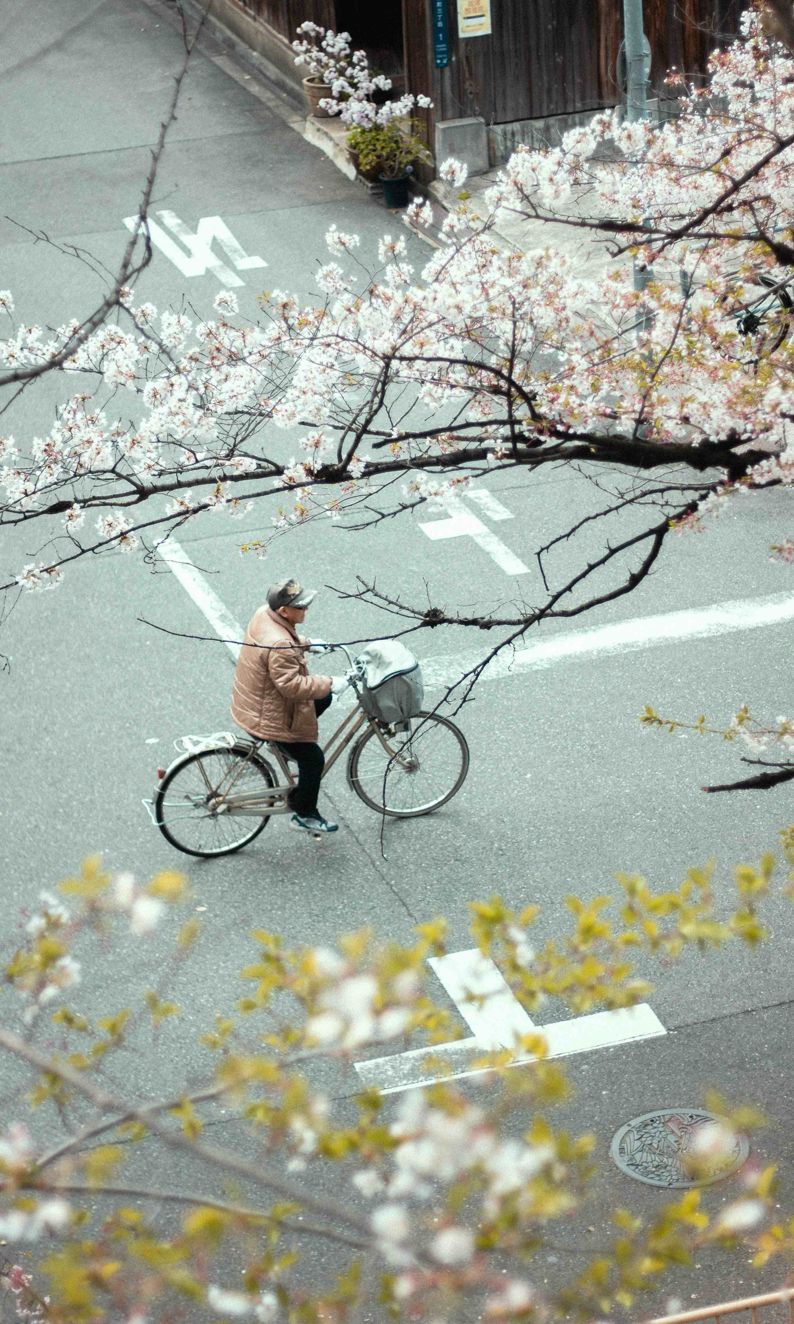 Règles à respecter sur la route au Japon - DrivinJapan.com