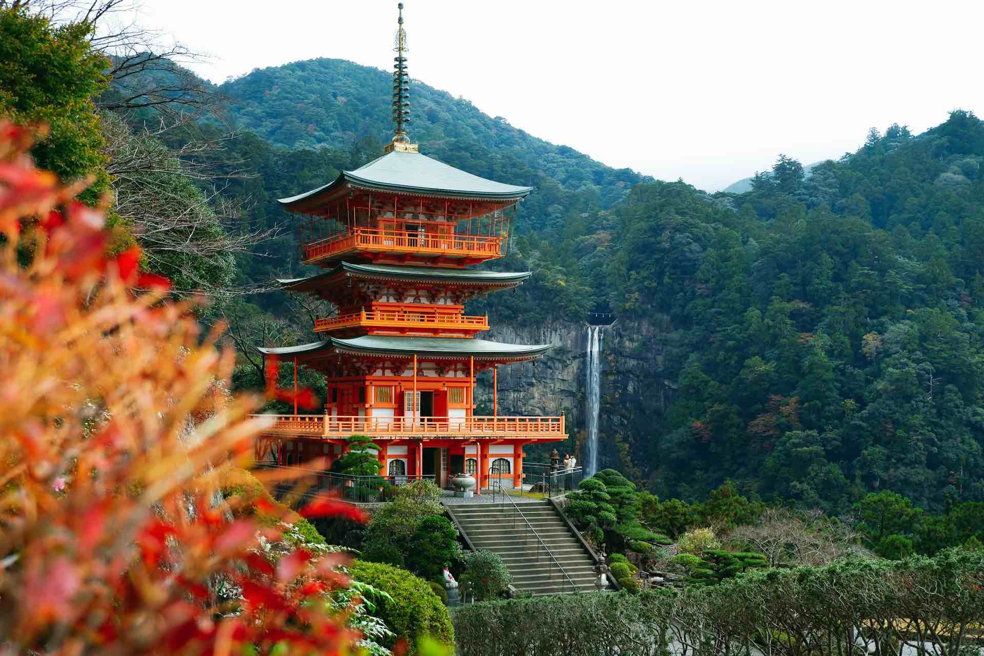 Wakayama au Japon : que voir, comment se déplacer et conduire sereinement