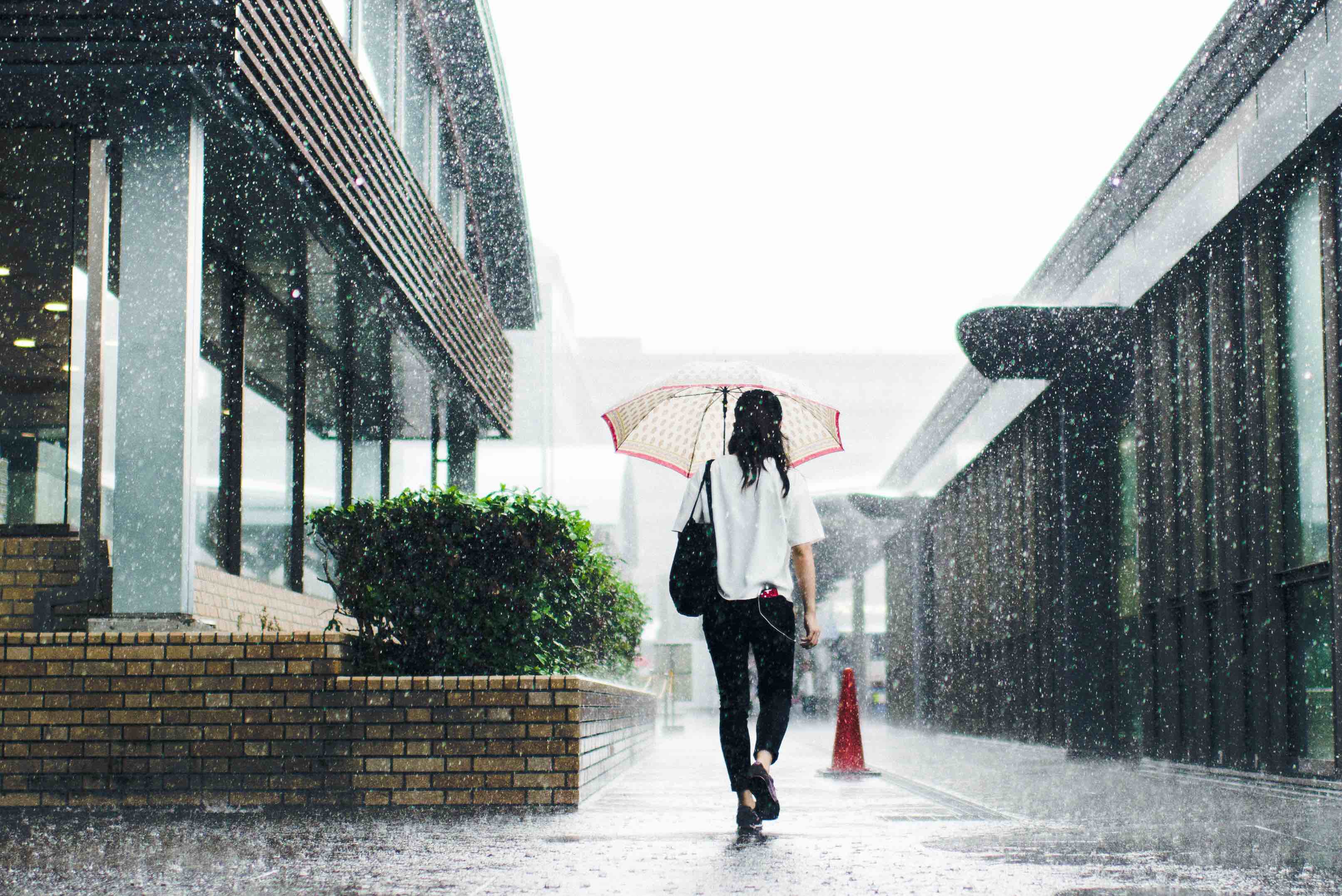 woman walking umbrella