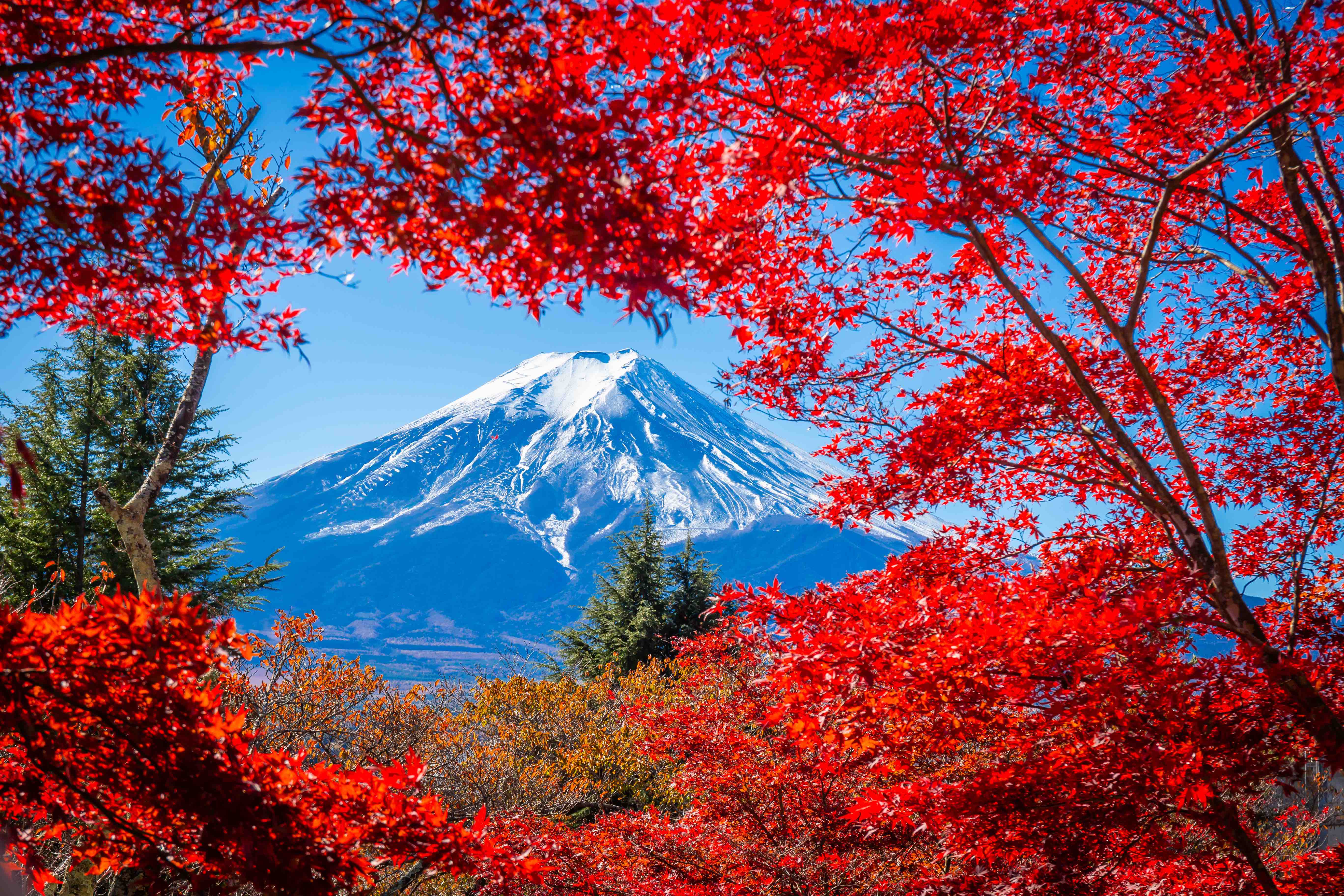 Discover Yamanashi - Drivinjapan.com